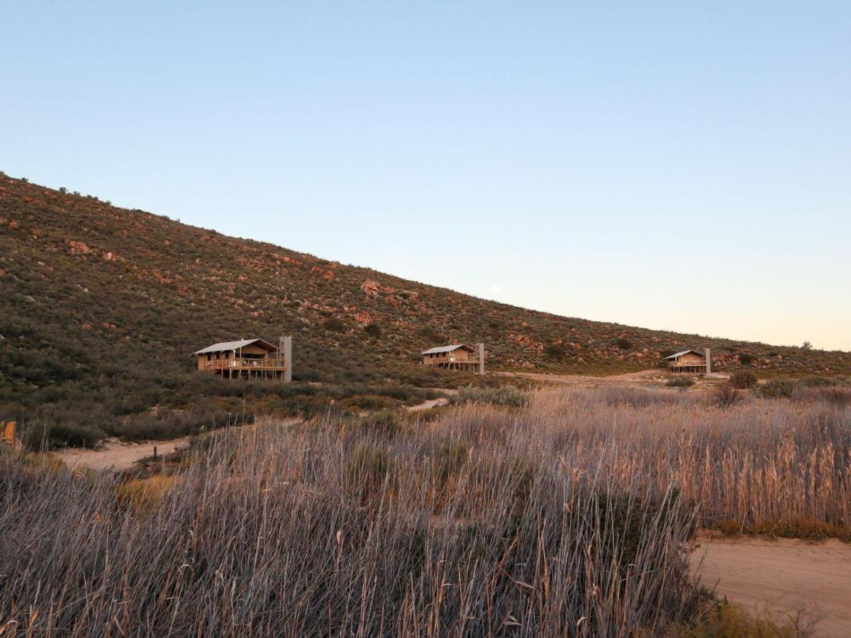Africamps At Karoo 1 Villa De Doorns Exterior photo